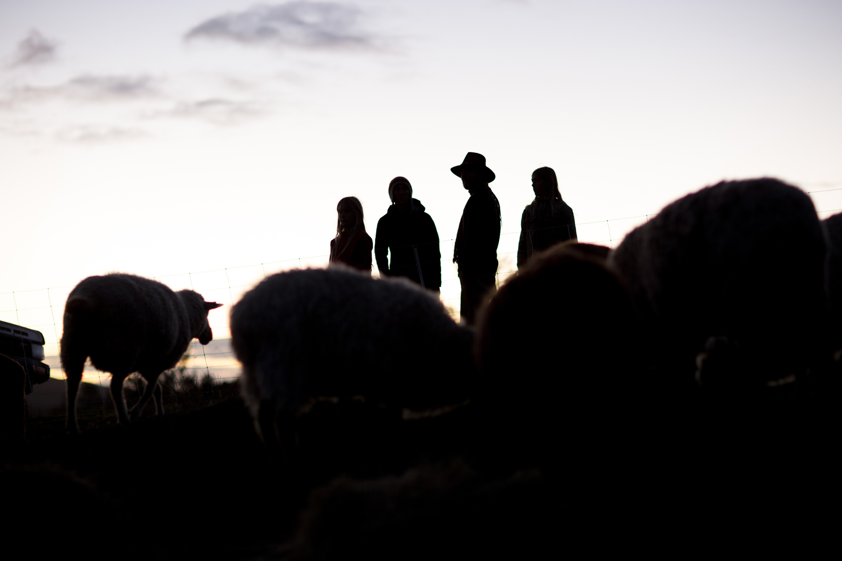 paigegreenFibershedPastures12142015-241
